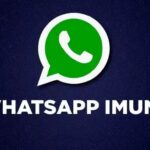 whatsapp-imune-150x150